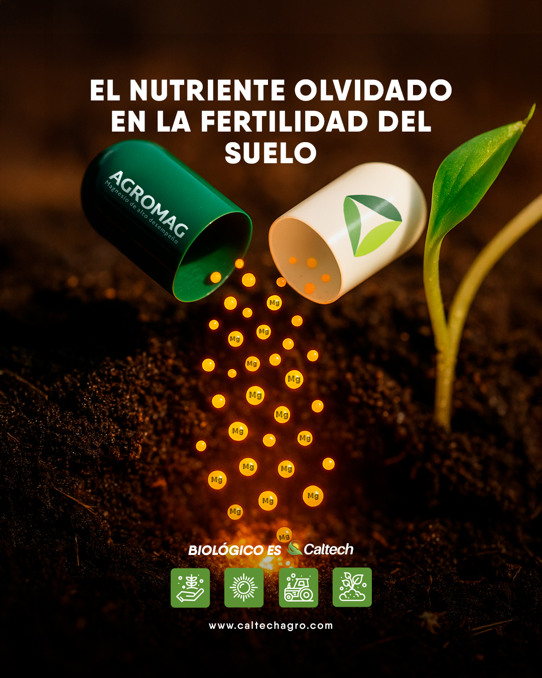 Magnesio: El Nutriente Olvidado en fertilidad del Suelo 