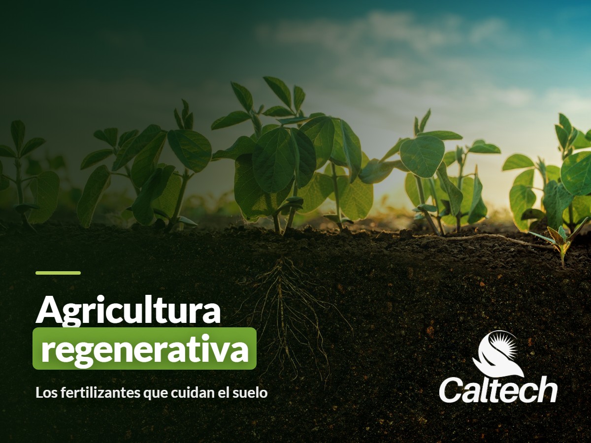 Agricultura Regenerativa y la Salud del Suelo