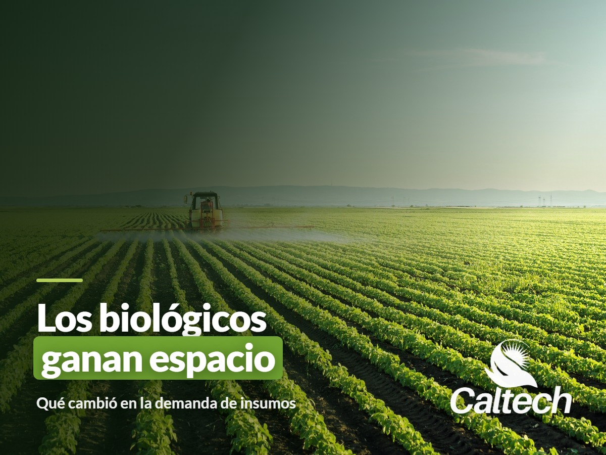5Días entrevistó a Leonardo Zanchet: los biológicos ganan espacio en el agro