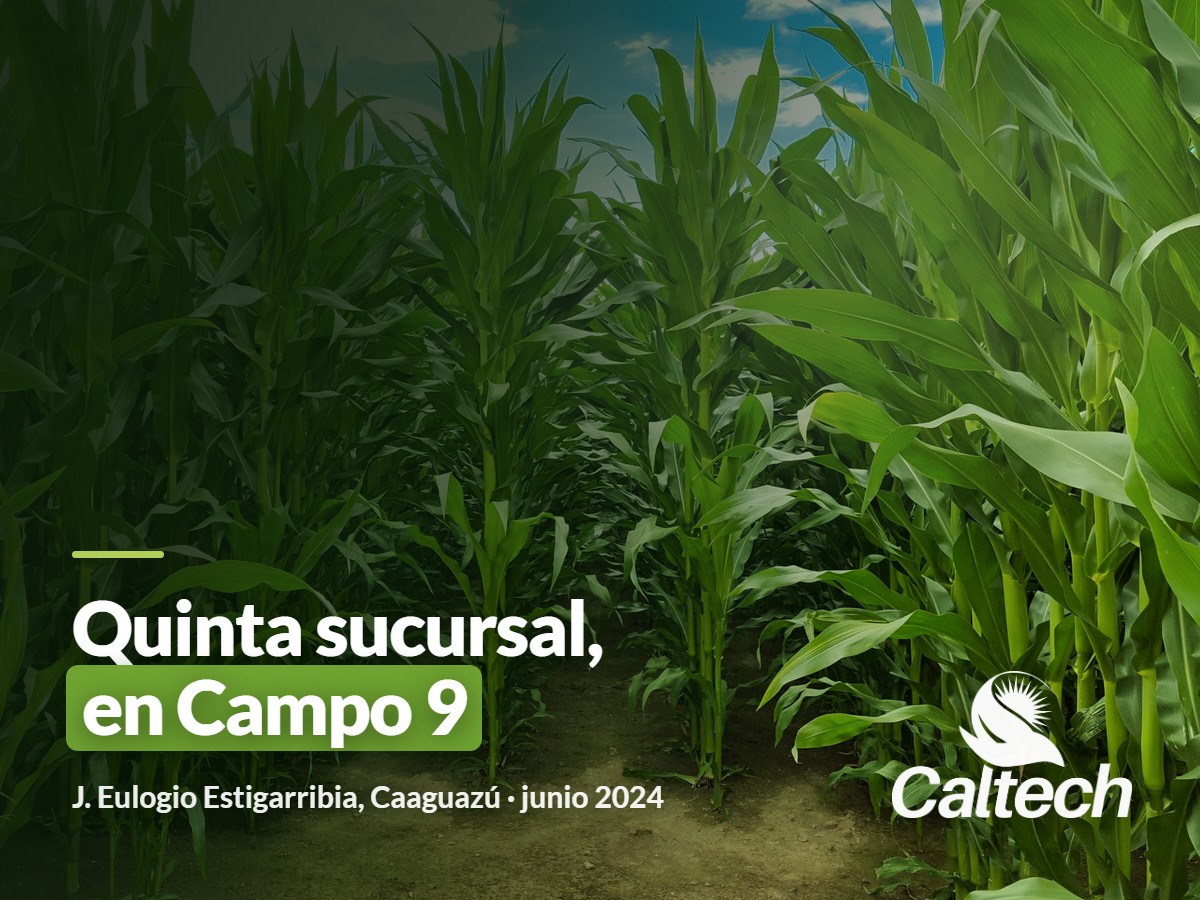 Campo Agropecuario: Caltech abrió su quinta sucursal en Campo 9