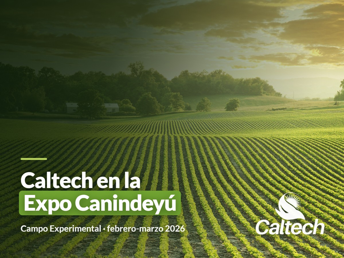 Campo Agropecuario: Caltech en el Campo Experimental de la Expo Canindeyú 2026