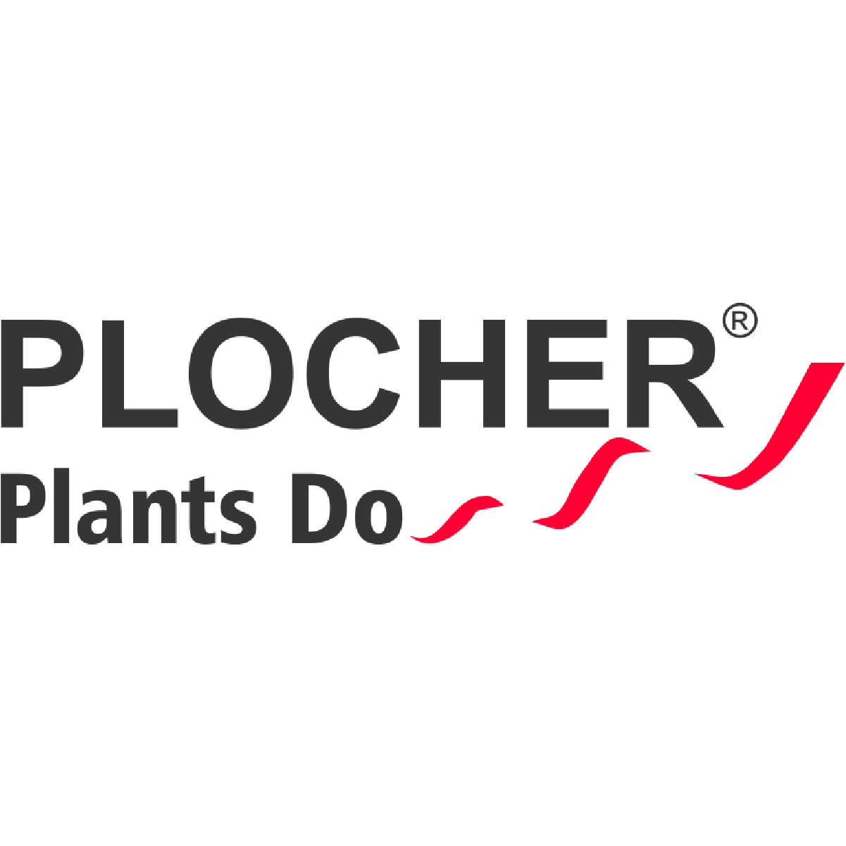 Plocher