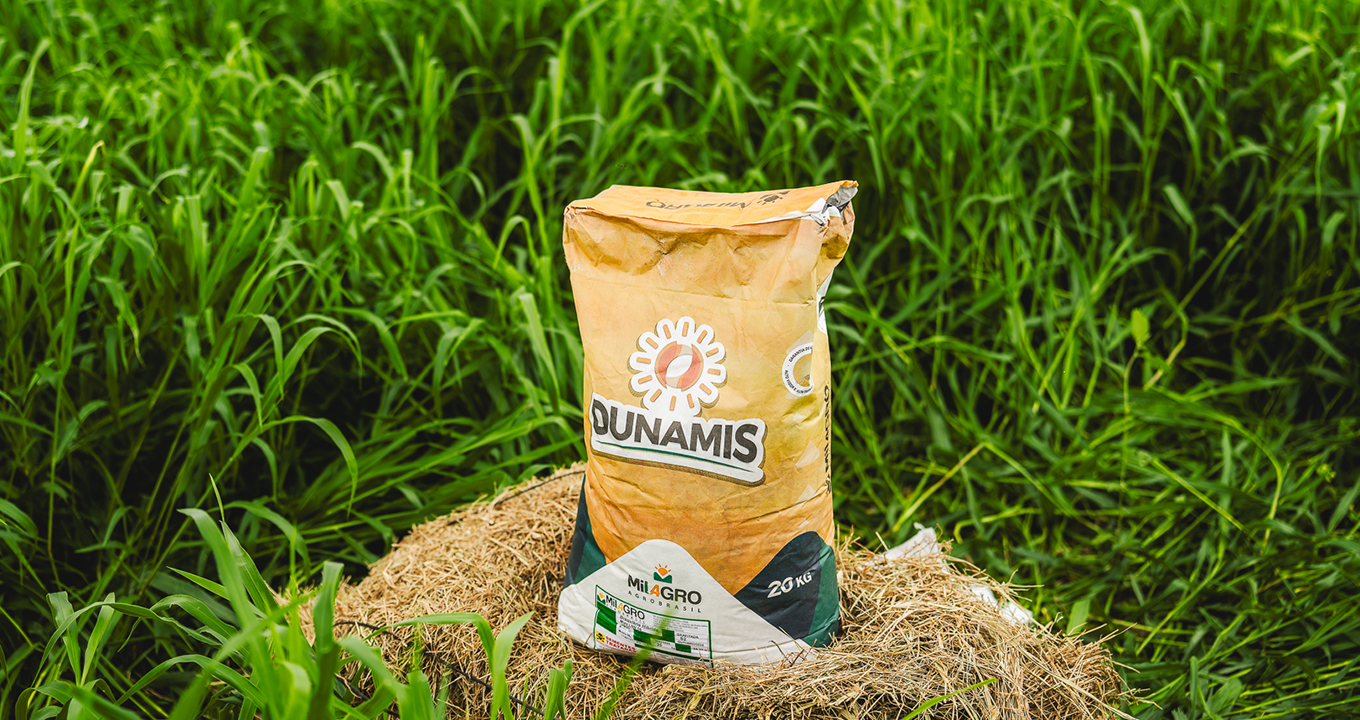 Campo de Pasturas Dunamis