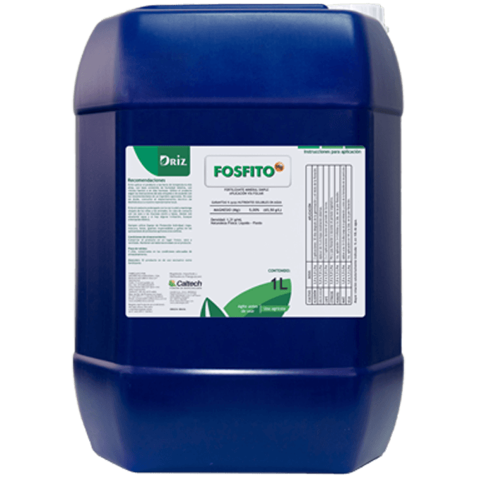 Imagen de Fosfito Mg