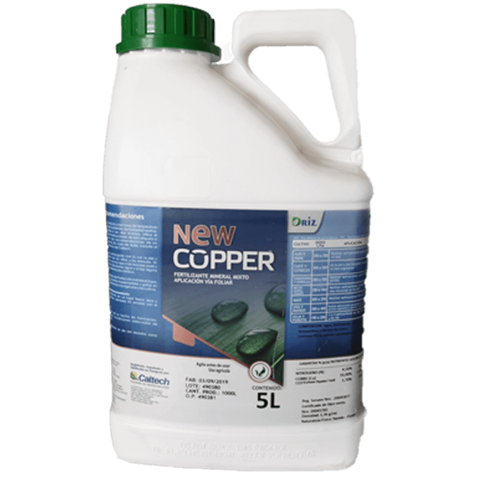 Imagen de New Copper