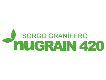 NUGRAIN 420