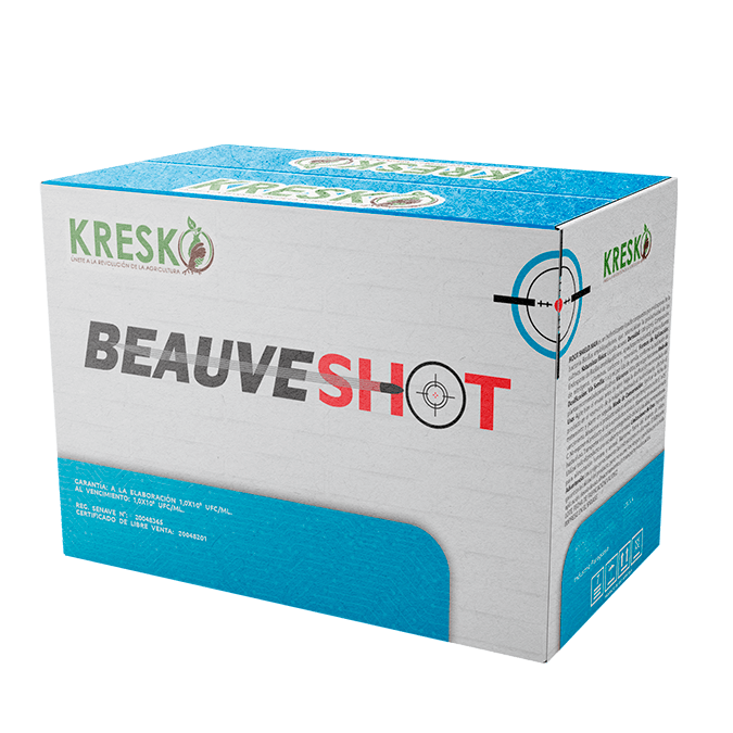 Imagen de Beauveshot