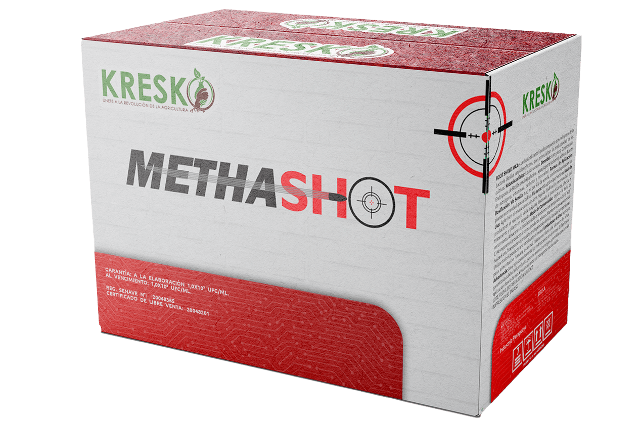 Produto Methashot